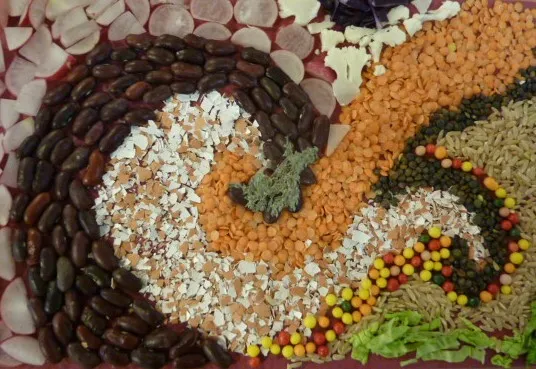 représentation abstraite des 5 SENS