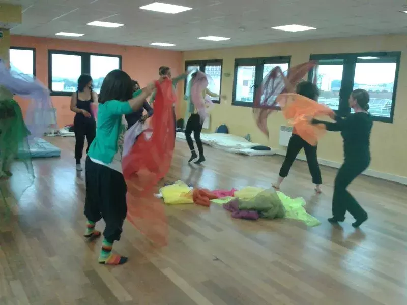 FORMATION DANSE THERAPIE