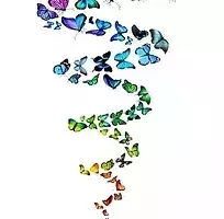 Photo de profil choisie par Marie PIFFETEAU, spirale de papillon multicolore